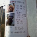 봉강탕 Daum카페