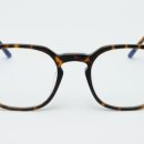 알로안경 이미지