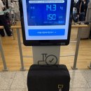 올뉴팻 주식회사 | (HK) 홍콩 1일차: 출국, 뉴 힝 팻 딤섬, BAKEHOUSE, 피크트램, 스카이 테라스 428
