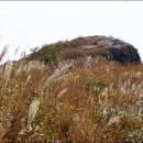 나의목장 이미지