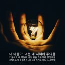 대저 OIL