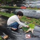 흙사랑 농장 이미지