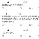 Jpg랑 png의 차이점이 뭐야 이미지