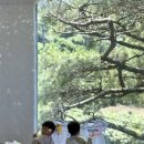 소길 통나무집 | 제주도 아이랑 가볼만한곳 애월 밤비니오감정원 이끼숲소길
