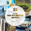 [한국 문화] 음식으로 만나는 한국의 이해 1 | 해남 해창주조장 롤스로이스와 고양이가 있는 정원, 해창막걸리 12도에 담긴 100년의 향기