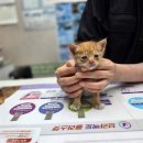 비산염색공단로 이미지