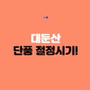 호남민박 | 대둔산 단풍 절정시기 및 가을여행 가이드