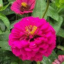 브니엘하우스 이미지