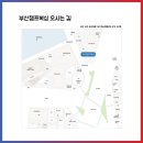 부산챔프복싱 이미지