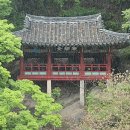 광흥우리옷 | 정자詩로 만난 인물-박태순(朴泰淳)