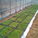 편백하우스 이미지