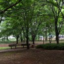 어머니의 마음 이미지