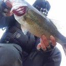 청도천6 이미지