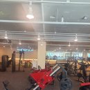 팀터틀랫 양산북정점 이미지