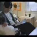 피리피리 이미지