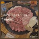 새천년대로 | 포항 문덕 고기집 특수부위 꼬들목살 갈매기살 맛집 오늘도꿉자