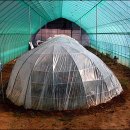 나비부화장 이미지