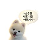 비에이치씨(BHC)거제점 이미지