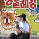 퍼스널댕댕 | 우리집 가나디 (밖에서는 더) 귀.여.워.♪｜2025 댕댕트레킹 정복했댕!🐶
