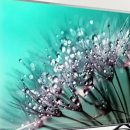 블루광학 이미지