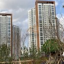 써밋 스크린골프 이미지