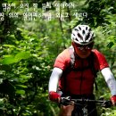 두바퀴로달리는세상 이미지