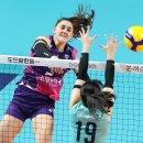 흥국생명 이미지