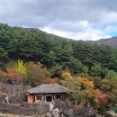 학동산장 | 산채비빔밥 / 도토리묵 / 파전 / 막걸리 / 토종음식 / 한국인의맛