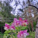 토골농장 이미지