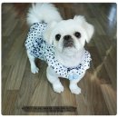 스위트몽 이미지