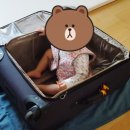 슈즈앤워시 이미지