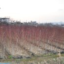 김주일농장 이미지