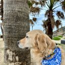 제주올림피아 이미지