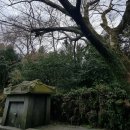 영신당약국 이미지