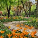 향기5로 이미지