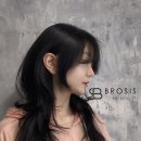 브로시스