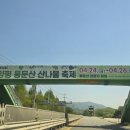 용문산광장 | 양평 용문산 산나물 축제 방문 후기 주차 팁, 셔틀버스