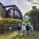 별빛정원어린이집 이미지