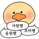 박은아뷰티랩 네이버블로그