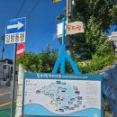 동피랑사람들 | 통영 동피랑 벽화마을 구경하고 통영중앙시장 (동피랑, 서피랑, 디피랑 비교)