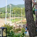 별밤비어 이미지