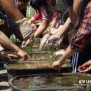 천안쌍정초등학교 이미지