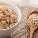 와이페이지(YPAGE) 이미지