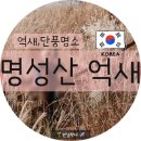 (주)마니커포천지점 | 10월의 마지막-포천 명성산 억새 가을축제 🌾 | 2코스(실망) → 1코스(단풍명소) 찐후기! (케이블카 꿀팁)