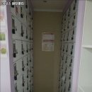 커브스 매탄클럽 네이버블로그