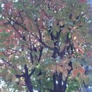 예일여자고등학교 이미지