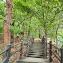 세도자원 | 특정 시대(예: 조선 후기, 일제강점기 등) 급증한 화전민 생활사와 관련된 문학 작품 이야기