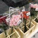 멍컷 | 구래동 그로브블룸 무인 꽃가게 둘러보기