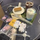 10 | PLAVE ASTERUM 433-10 방문 후기 머글 시점 💙💜💗❤️🖤