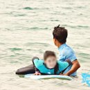 코코넛제주 네이버블로그